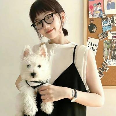 鹰架上的春风