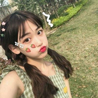 狗狗与我的十个约定